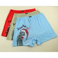 Men's panties Pelican - Happy New Ye. Sizes M and L buy in online store 2