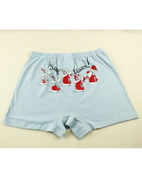 Men's panties Pelican - a holiday successfully. Sizes M and L buy in online store