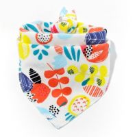 Whirl, bib, araphak on button - Leafs buy in online store