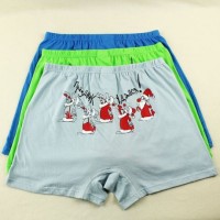 Men's panties Pelican - a holiday successfully. Sizes M and L buy in online store