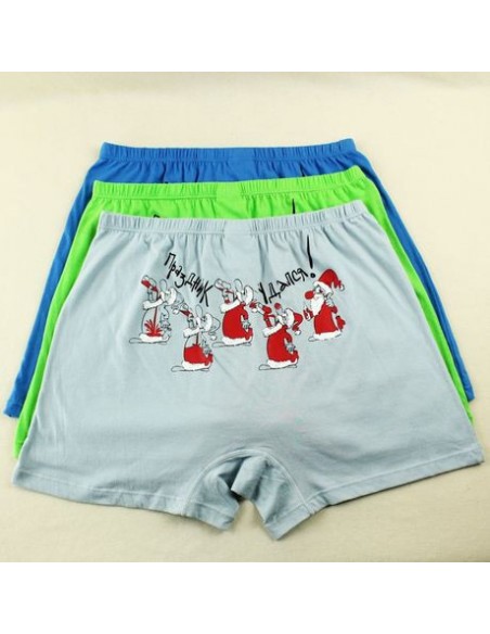 Men's panties Pelican - a holiday successfully. Sizes M and L buy in online store