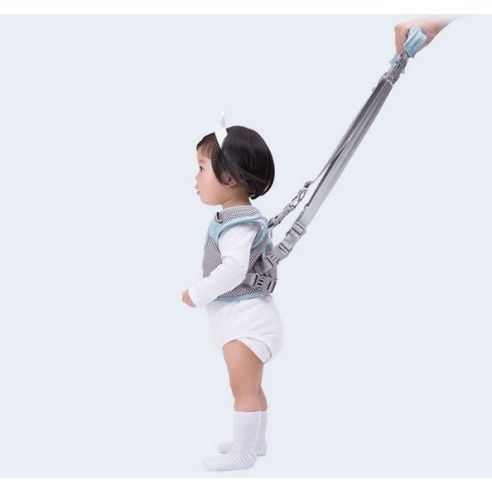 Loading walkers for a safe walk buy in online store