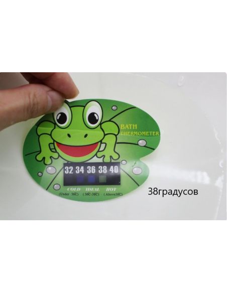 Thermometer for measuring water temperature - frog buy in online store