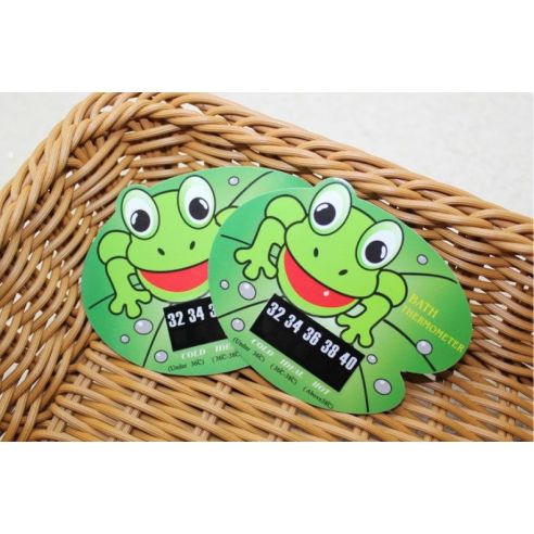 Thermometer for measuring water temperature - frog buy in online store