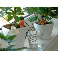 Drip (automatic) watering for indoor plants- (2pcs / pack) buy in online store