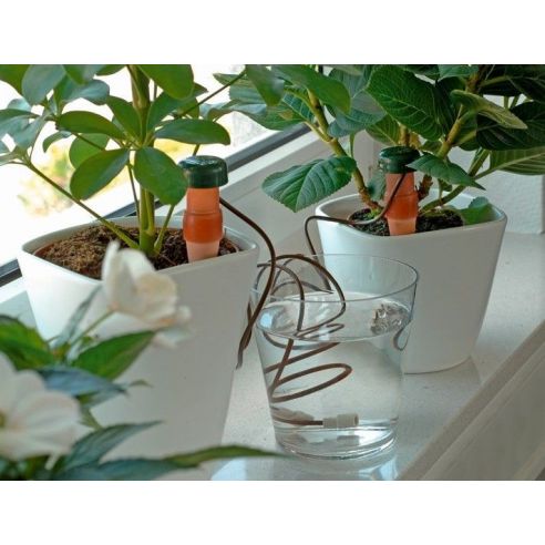 Drip (automatic) watering for indoor plants- (2pcs / pack) buy in online store