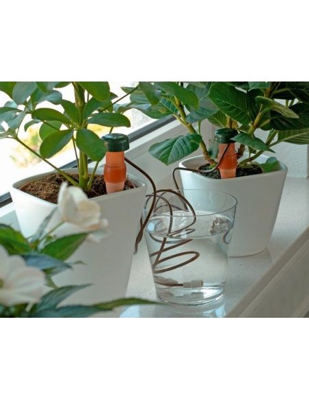 Drip (automatic) watering for indoor plants- (2pcs / pack) buy in online store
